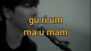 Easy Lyrics Wild Flower by Park Hyu Shin