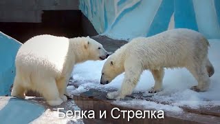 :      .  ,      .