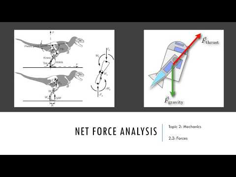 Net force analysis
