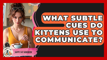What Subtle Cues Do Kittens Use To Communicate? - Happy Cat Handbook