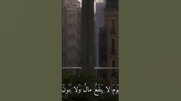 قراءة رائعة من سورة الشعراء (ولا تخزني يوم يبعثون)