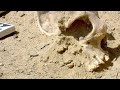 Prehistoric Burial Practices and Zoo