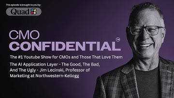 The AI Application Layer - The Good, The Bad, And The Ugly | Jim Lecinski,  Northwestern-Kellogg