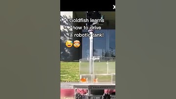 😳Goldfish Learns How to Drive Robotic Tank!🤯
