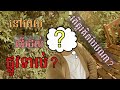 នៅពេលដែលយើងដើរដល់ផ្លូវទាល់?