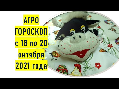 Видео: Халимны линз (15 зураг): энэ нь камер дотор юу байдаг вэ, ердийнхөөс юугаараа ялгаатай вэ?