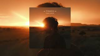 Tiwayo - Desert Dream (Full Album)