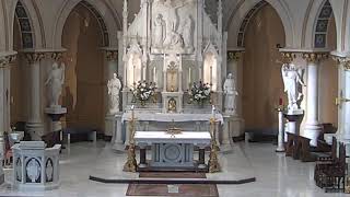 St Joseph Live
