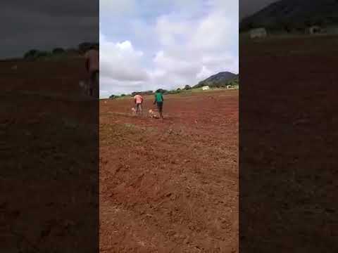 MASHINE YA KUPANDIA MBEGU AINA ZOTE