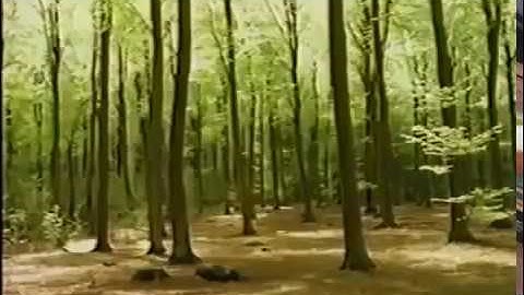 Colour Theory   Documentary HD