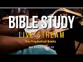 The Prophetical Books