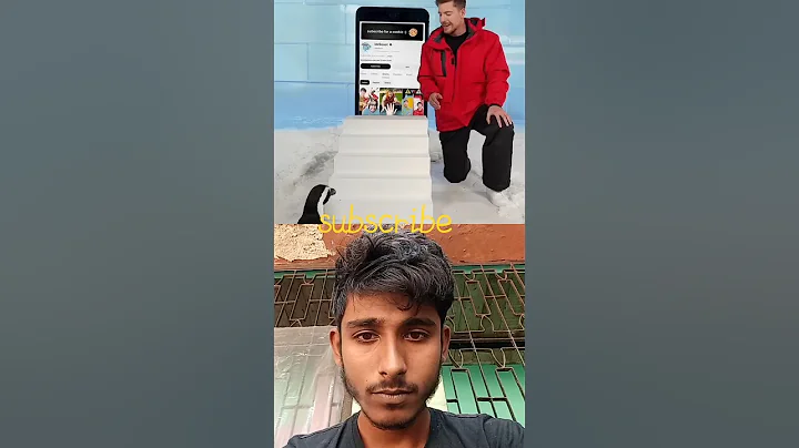 #helpmemakethismakesense #automobile #penguin #challenge