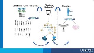 Understanding Resilience to Schizophrenia through Genetics