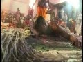 'Sarppa paattu' 'kalamezhuthu' Mannarasala: Ithalukal