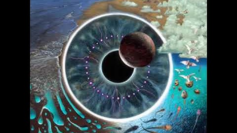 Pink Floyd - Take It Back (Pulse Live 1994)