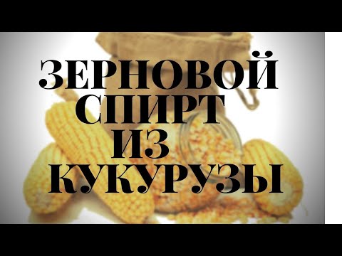 Сахар дорожает! Из чего гнать самогон? Делаю зерновой спирт! Кукуруза и кодзи достойно даже в бочку.