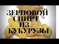 Сахар дорожает!!! Из чего гнать самогон? Делаю зерновой спирт! Кукуруза и кодзи без сахара!!!