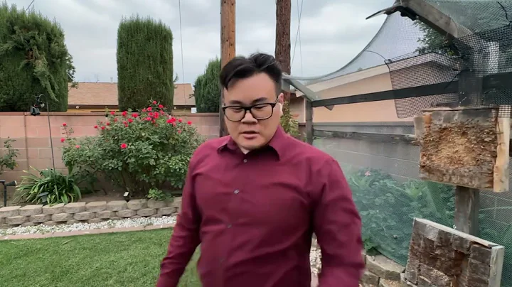 Knife Throwing Discussion:  Tricking the Mind to Throw Instinctive No-Spin