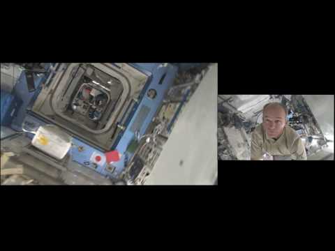 In This Orbital
