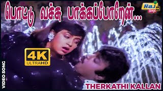 பொட்டு வச்சு பாக்கப்போறேன்.....| Vijayakanth | Radhika | Ilaiyaraaja | Raj 4K Songs