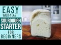 Sourdough starter recipe  maintenance guide  perfect for beginners step by step