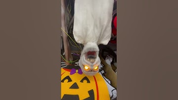 SVI hanging corpse in store demo 💀🎃👻