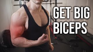 The 5 Curls For BIG Biceps!