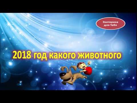 2018 год какого животного по календарю