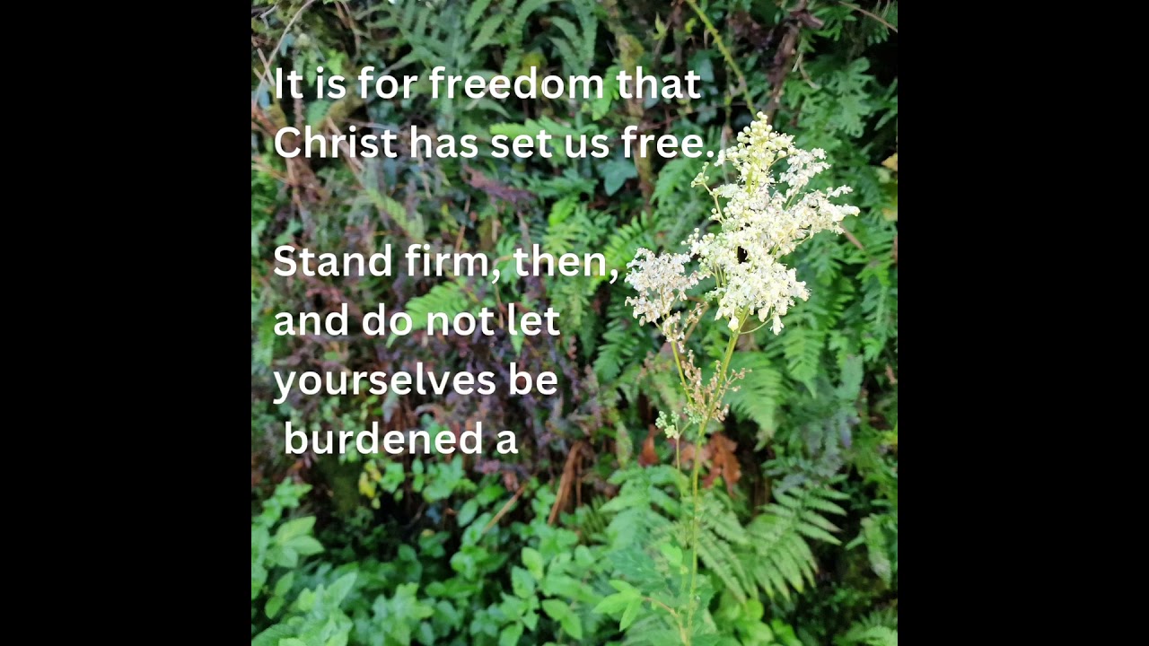 Christ liberates (not to sin) but to life.If what you've got isn't doing that, then what's going on?
