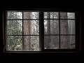 ❄ Snow ❄ Relaxing Snowfall in Forest through Cabin Window