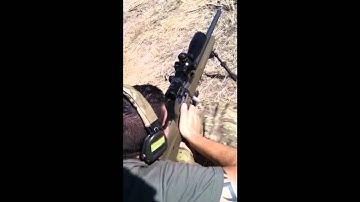 Precision Rifle ARC Mausingfield Action