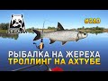 Рыбалка на Жереха. Троллинг на Ахтубе - Русская Рыбалка 4 #210