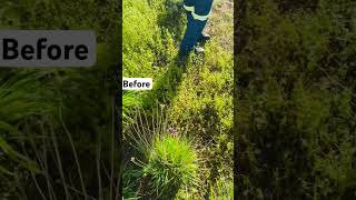 Garden maintenance day