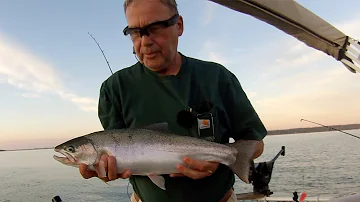 Can you eat fish from the Finger Lakes?