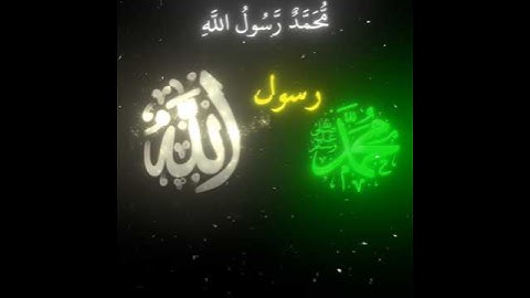سورة الفتح(محمد رسول الله)قارئ: ياسر الدوسري #ياسر_الدوسري #تلاوة_خاشة#صوت_جميل #قرآن #quran_alkarim
