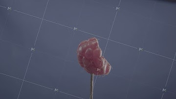 Raspberry rotating with loop on blue screen for chroma key