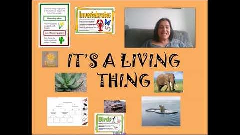 How to use a Classification Key