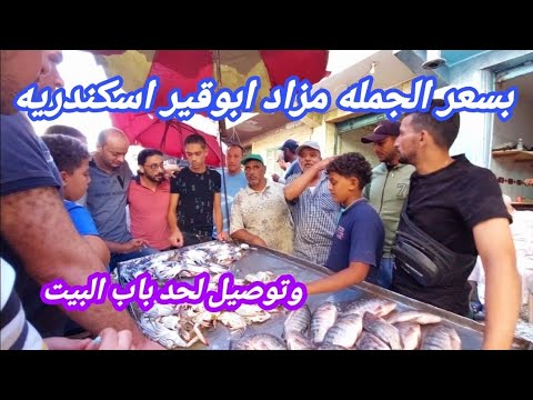 من احسن الاماكن فى اسكندريه لبيع السمك والجمبرى طازه سوق ابوقير