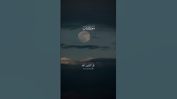 عبدالرحمن مسعد - سورة يونس | ويعبدون من دون الله ما لا يضرهم و لا ينفعهم #قران #اكسبلور #تلاوة_خاشعة