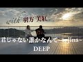 【男女歌う】君じゃない誰かなんて~tejina~ / DEEPを弾き語りでcoverしてみた！with 羽方 美紅