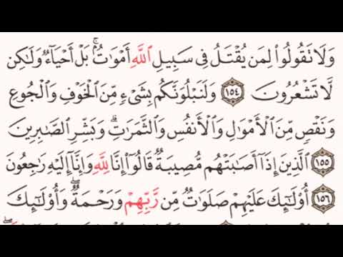 الصفحة رقم  الشيخ مشاري العفاسي