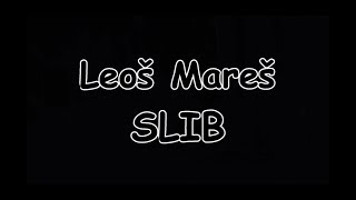 Leoš Mareš - SLIB | TEXT | Pavel Kozler