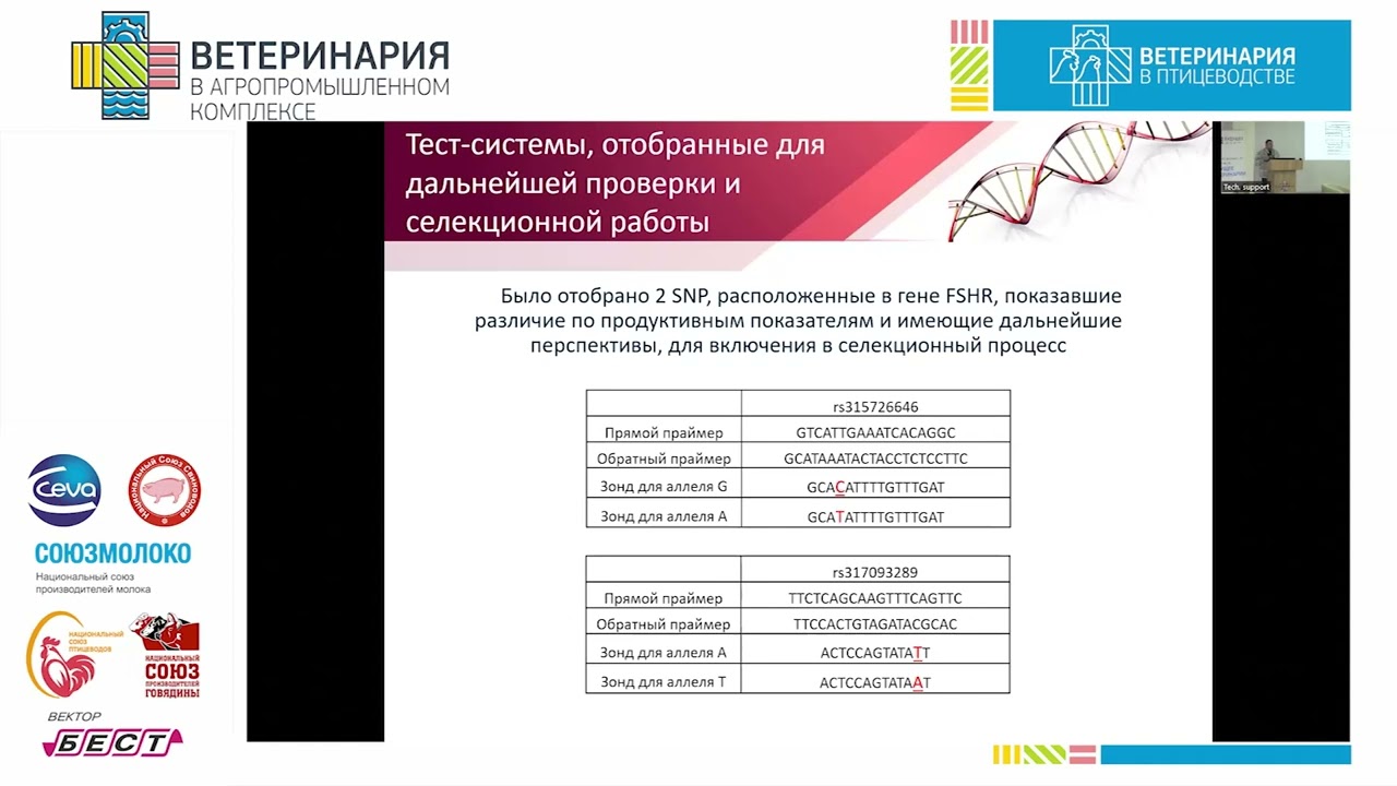 Куликов Е. И. Влияние уровня экспрессии рецептора ФСГ на яичную продуктивность кур.