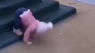 baby fail videos,baby cuteness videos,baby funny videos,baby crsying videos