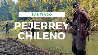 Pesca de Pejerrey Chileno en Santiago