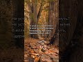 Есения Макян #искусство #поэзия #поэт #стихи #творчество #любовь