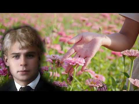 Я красивых таких не видел Есенин Стихи