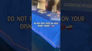 Disney Cruise Prohibited Items: DO NOT Pack These! 🚫🚢