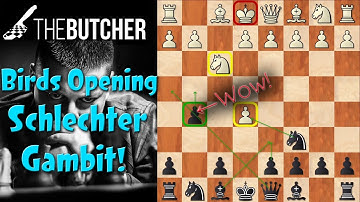 KILL The Bird! Schlechter Gambit!!
