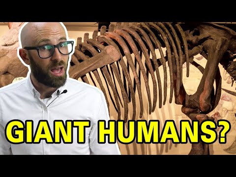 What Did People Think When They First Found Dinosaur Bones?